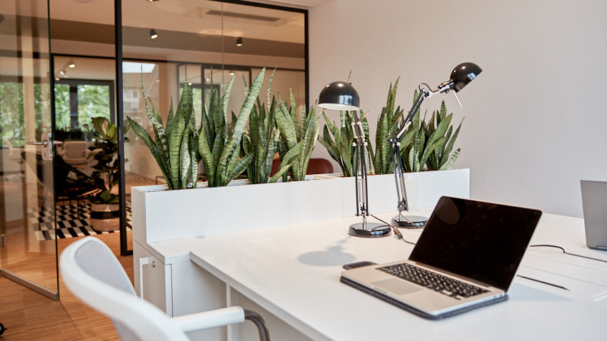 Coworking mit Stil in Top-City Lage - All-in-Miete