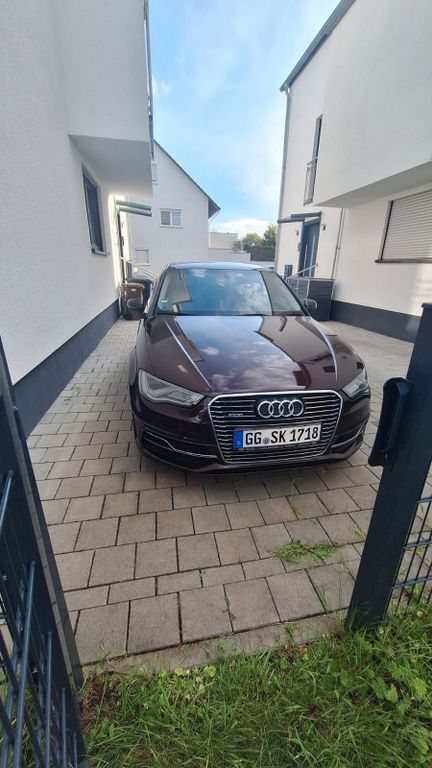 A3