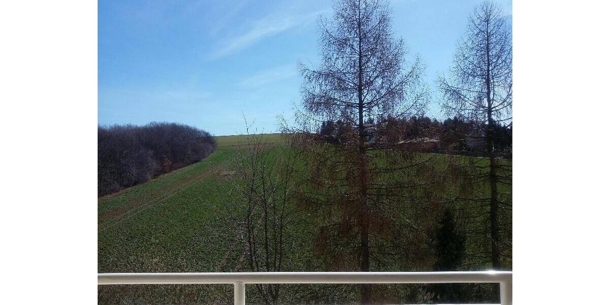 Etagenwohnung Wilkau-Haßlau Haßlau - 4 Zimmer, 81 m&sup2;, 510&euro; | Angebot:24808346