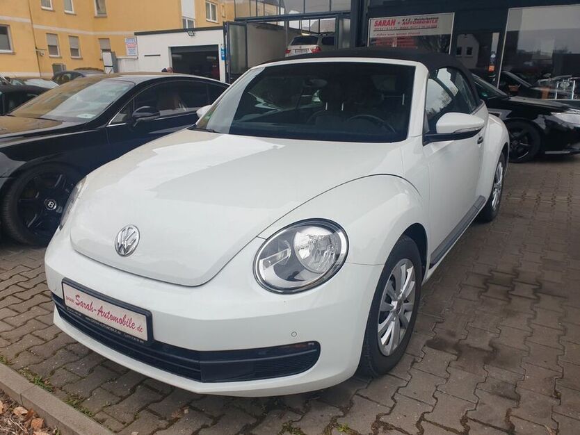 Beetle