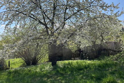 Grundstück Bad Griesbach Griesbach - 160.000&euro; | Angebot:26226277