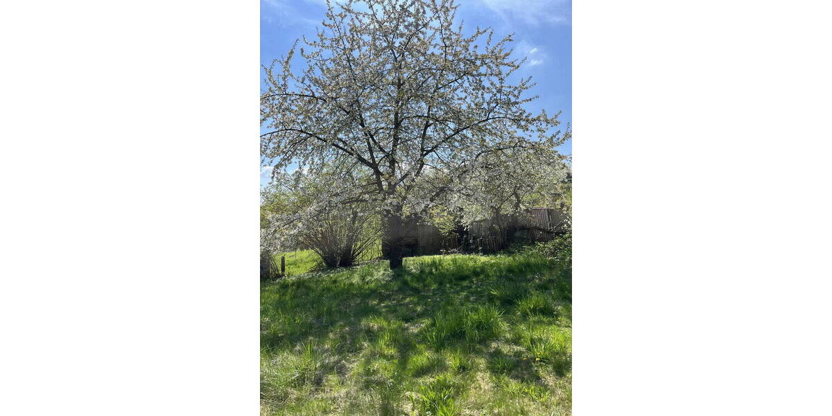 Grundstück Bad Griesbach Griesbach - 160.000&euro; | Angebot:26226277