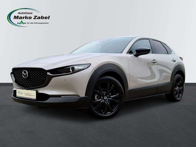 CX-30