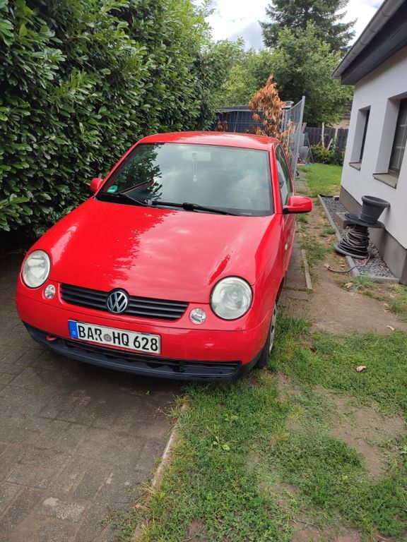 Lupo