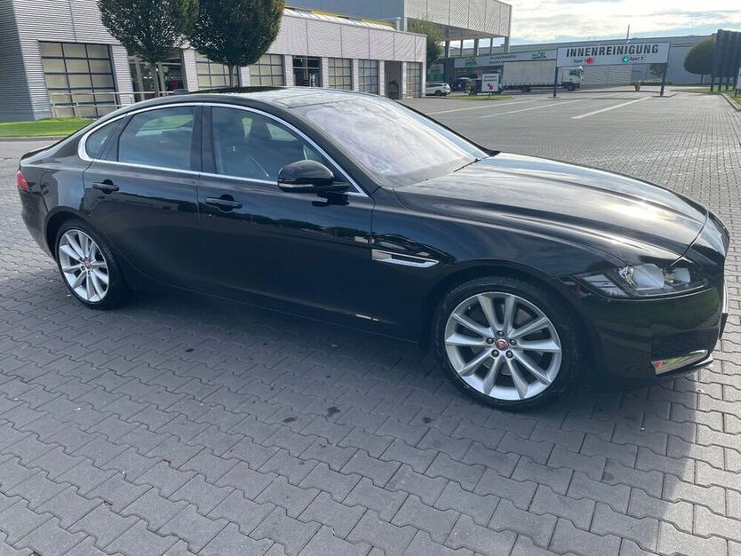 XF