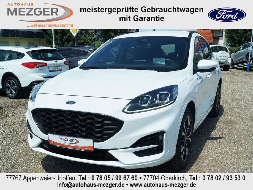 Kuga
