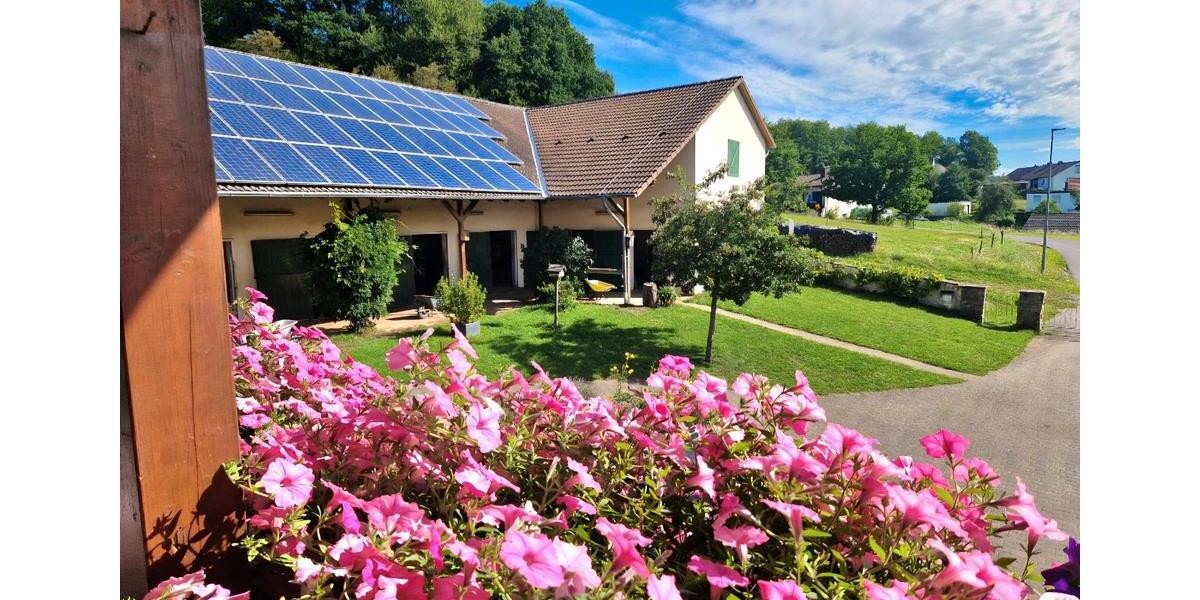 Einfamilienhaus Birkenfeld - 11 Zimmer, 350 m&sup2;, 849.000&euro; | Angebot:27145824