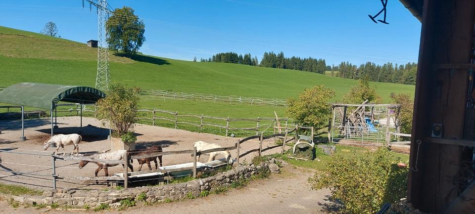 Mehrfamilienhaus, Wohnhaus Roßhaupten - 16 Zimmer, 510 m&sup2;, 1.800.000&euro; | Angebot:27086174