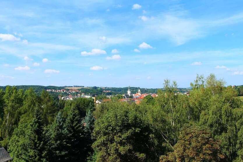 Wohnung zum Mieten in Döbeln 245 € 47.15 m²