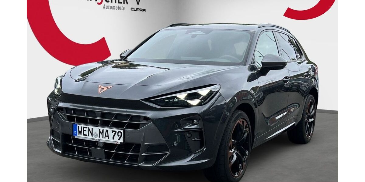 Cupra Terramar 9.900 km 36.950 &euro; Weiden 92637