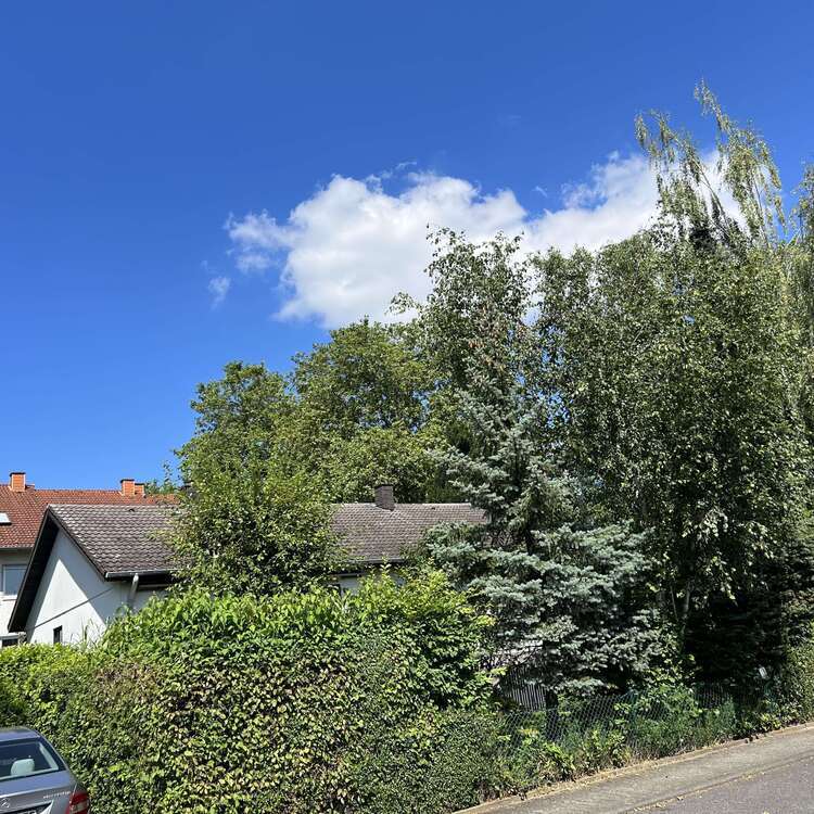 Grundstück zu verkaufen in Wiesbaden 659.000 € 641 m²