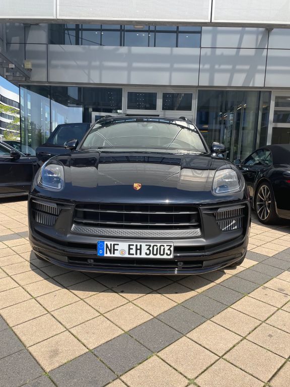Macan