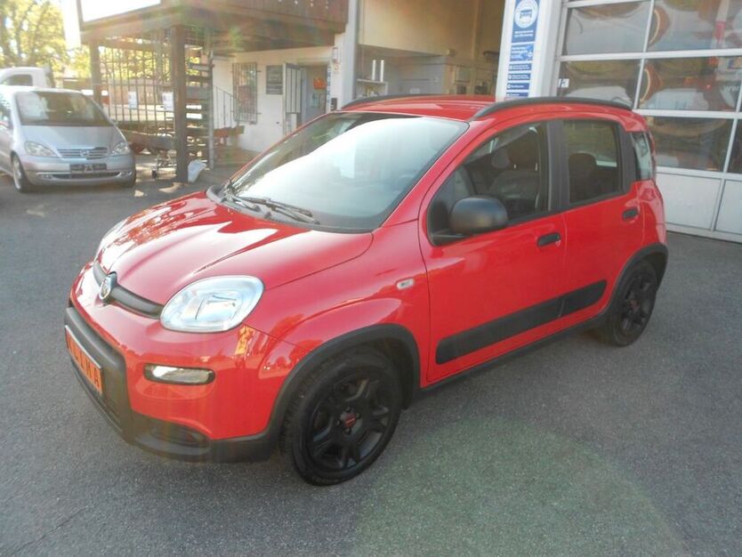 Panda