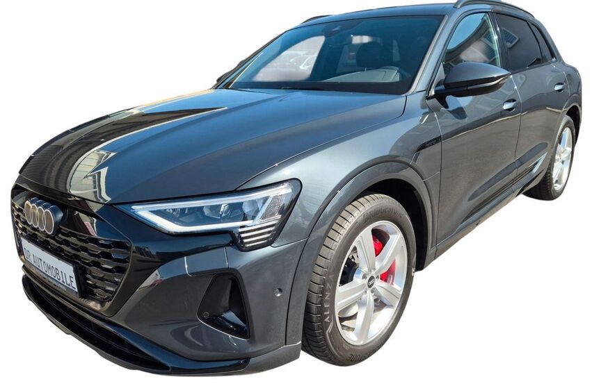 Audi Q8 e-tron 16.700 km 40.990 € Braunschweig 38112