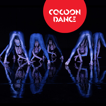 Momentum #2 - CocoonDance Company 05.02.2026 Theater im Ballsaal