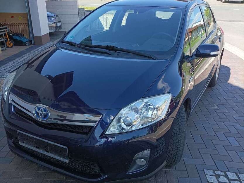 Auris