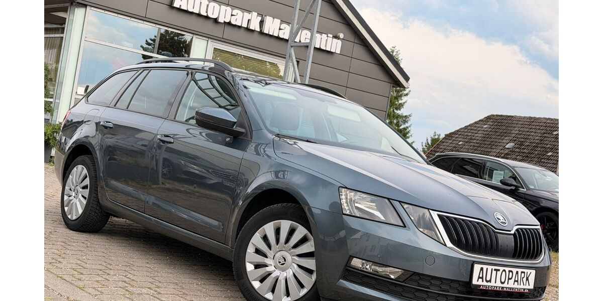 Skoda Octavia 112.200 km 14.400 &euro; Stepenitztal 23936