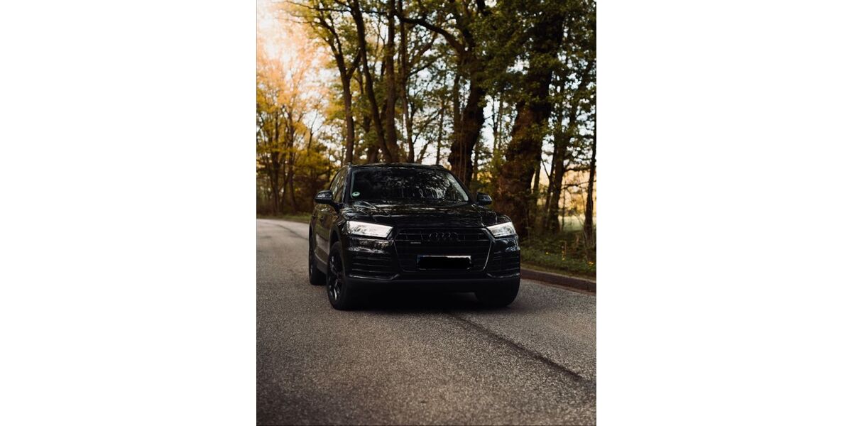 Audi Q5 201.892 km 19.800 &euro; Hamburg 21035
