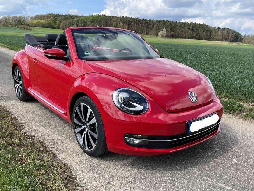 Beetle