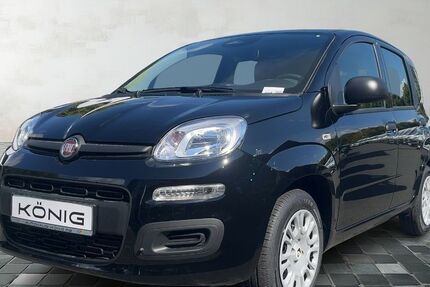 Fiat Panda 1.100 km 13.189 € Berlin 13127