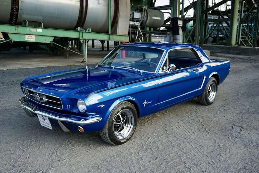 Mustang