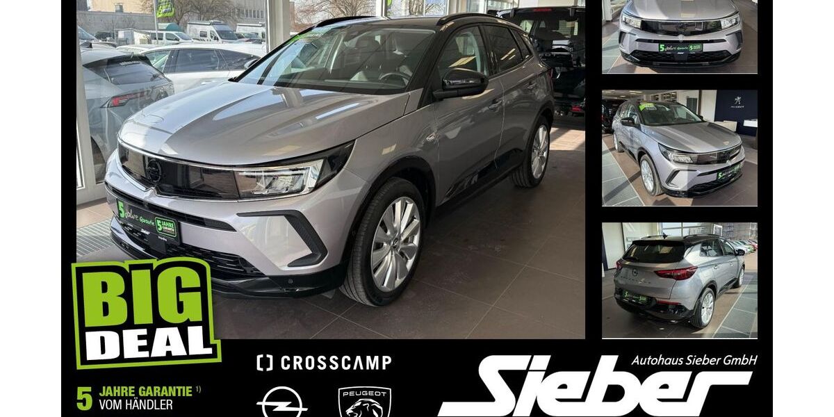 Opel Grandland (X) 35.916 km 19.490 &euro; Landshut 84034