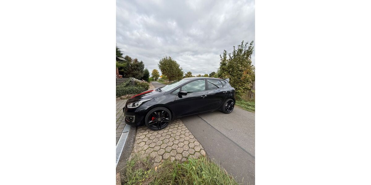 Kia ceed / Ceed 114.500 km 7.700 &euro; Bad Münstereifel 53902