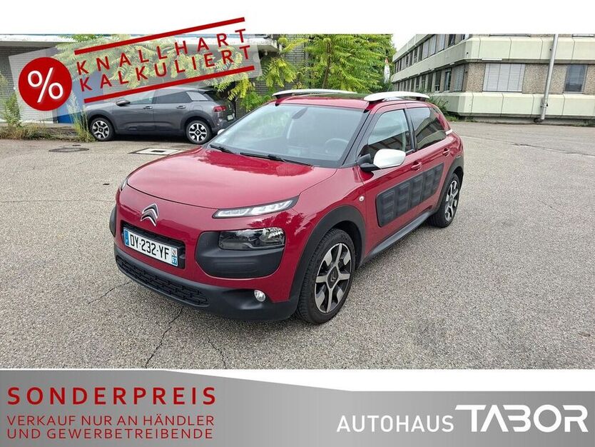 C4 Cactus