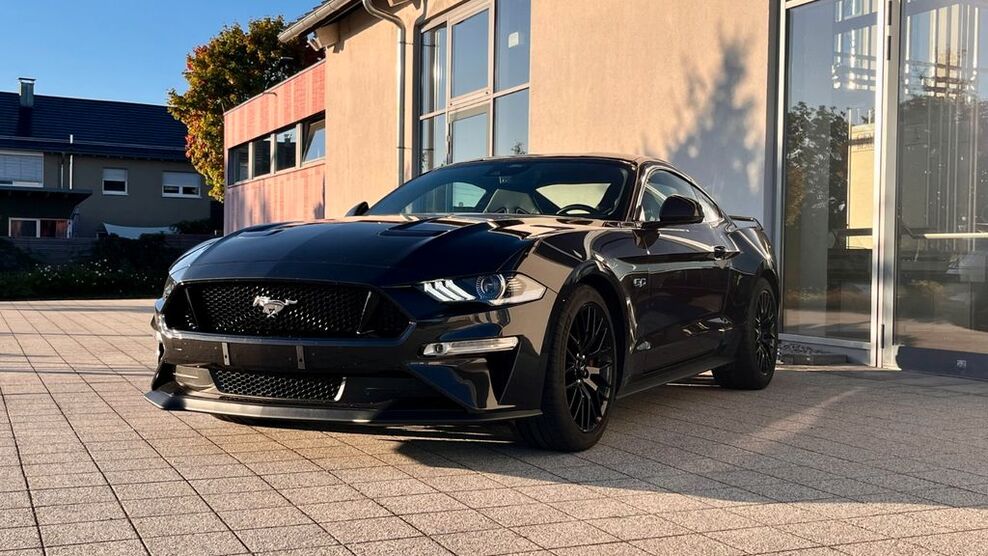 Mustang