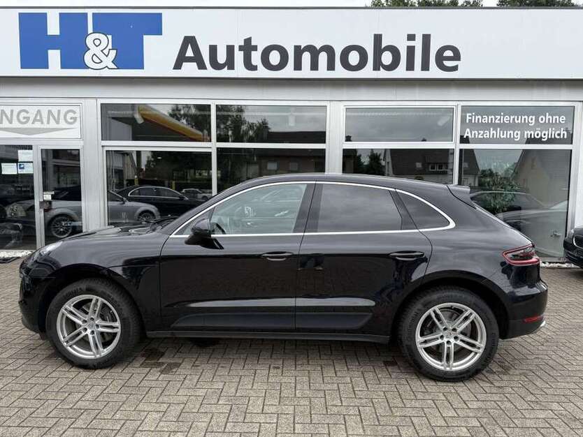 Macan