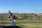 Etagenwohnung Trier Kürenz - 2 Zimmer, 81 m&sup2;, 1.255&euro; | Angebot:26360224