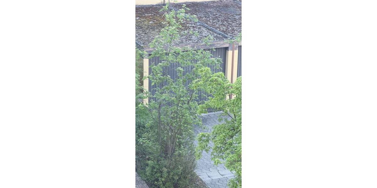 Etagenwohnung Schweinfurt Deutschhof - 3 Zimmer, 114 m&sup2;, 265.000&euro; | Angebot:26319178