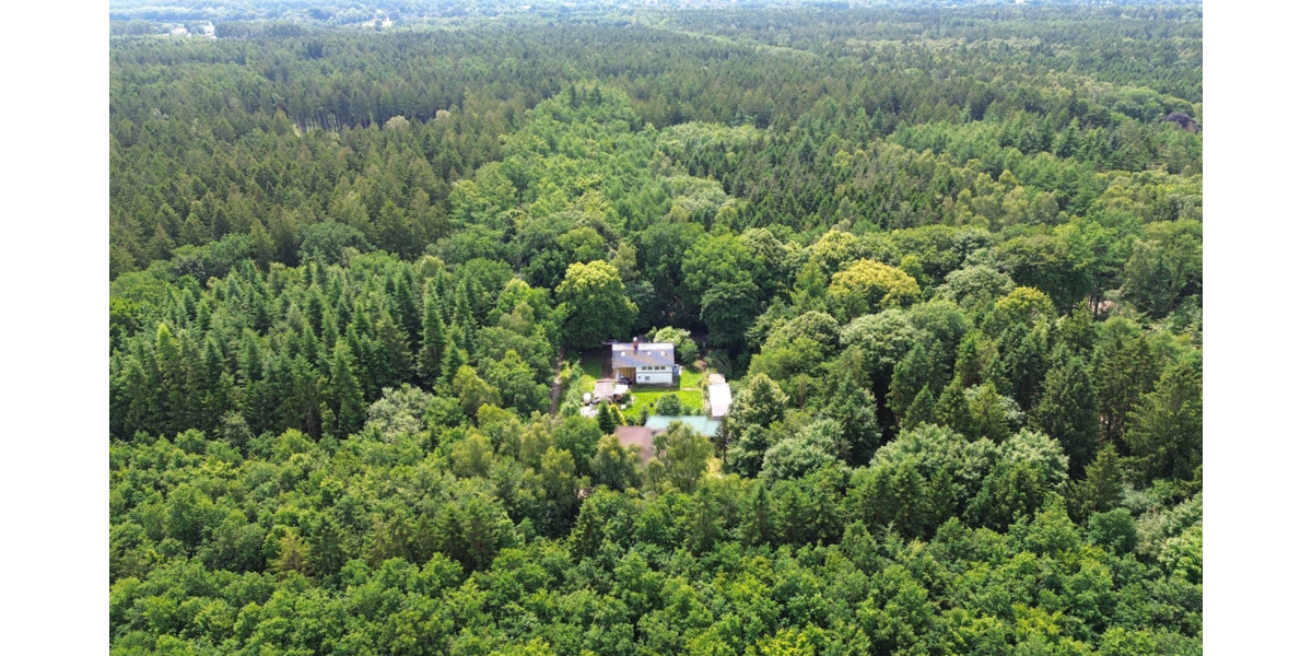 Einfamilienhaus Weddingstedt - 2 Zimmer, 80 m&sup2;, 299.000&euro; | Angebot:22084425