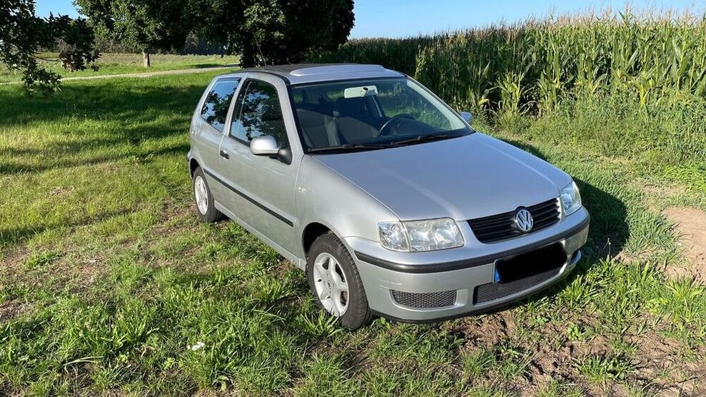 Polo