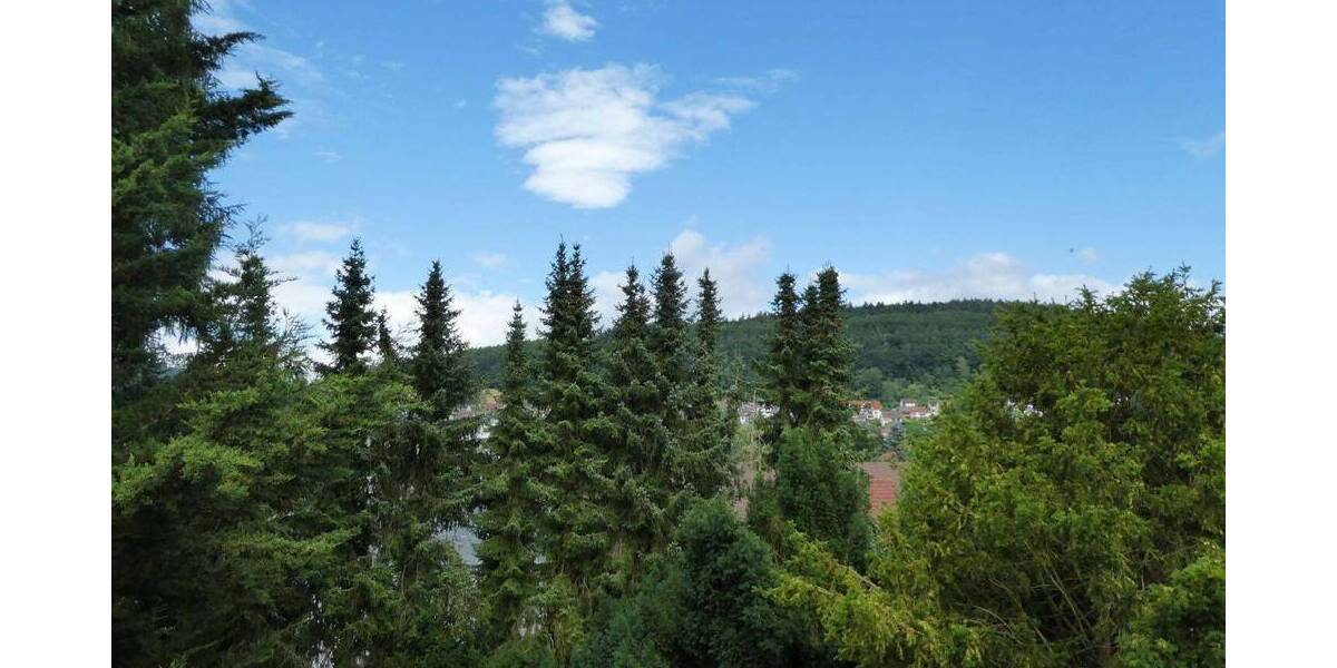 Mehrfamilienhaus, Wohnhaus Bad Orb - 7 Zimmer, 169 m&sup2;, 449.000&euro; | Angebot:25704433