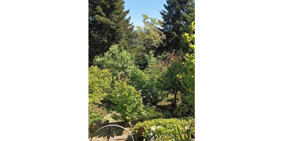 Einfamilienhaus Spiesen-Elversberg Elversberg - 299.000&euro; | Angebot:26957594
