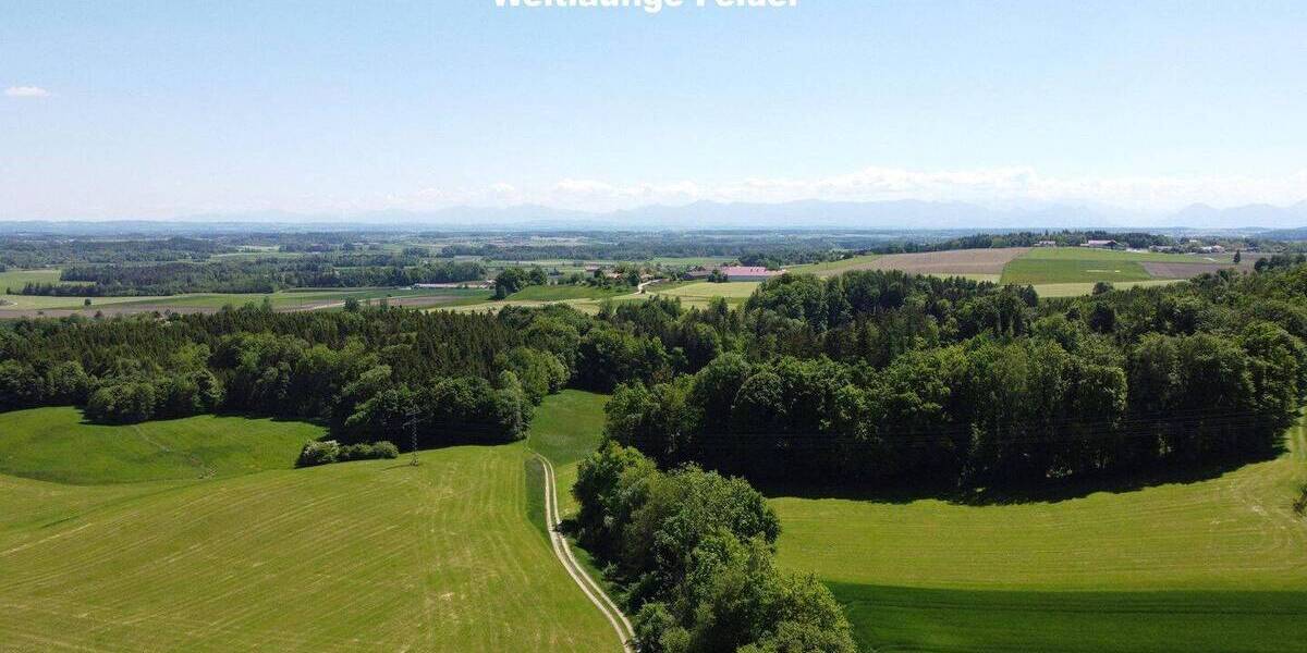 Bauernhaus, Landhaus Ebersberg - 1 Zimmer, 350 m&sup2;, 3.600.000&euro; | Angebot:26325727