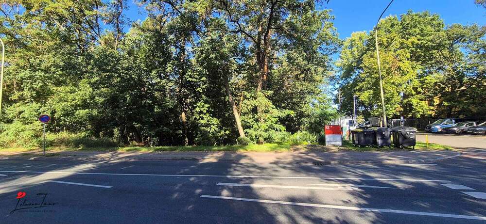 Grundstück mit Zukunftsperspektive – ca. 4.915 m² Waldfläche in Nuthetal zimmer