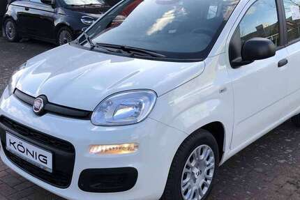 Fiat Panda 2.500 km 14.490 &euro; Neuruppin 16816