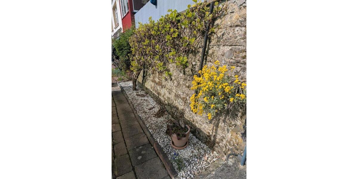 Grundstück Bad Blankenburg - 45.000&euro; | Angebot:26418754