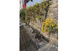 Grundstück Bad Blankenburg - 45.000&euro; | Angebot:26418754