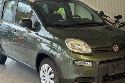 Fiat Panda 150.000 km 4.100 € Brey 56321