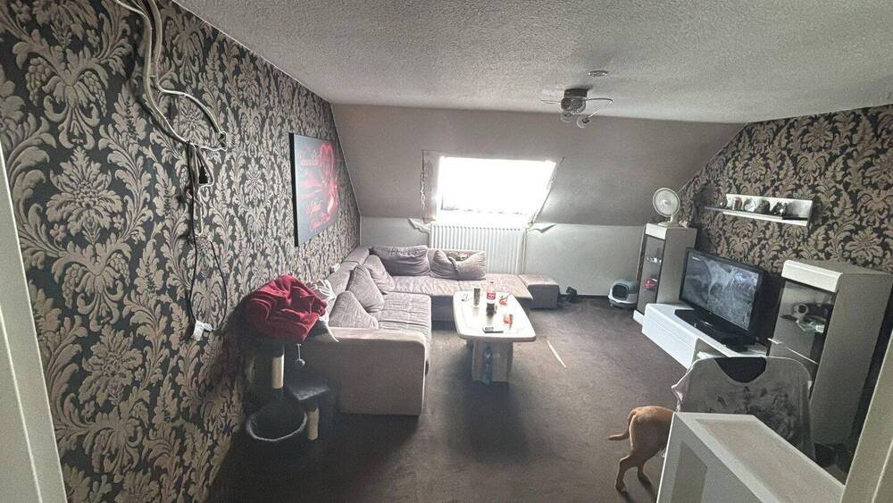 Einfamilienhaus Nordhastedt - 9 Zimmer, 220 m&sup2;, 379.000&euro; | Angebot:26657369