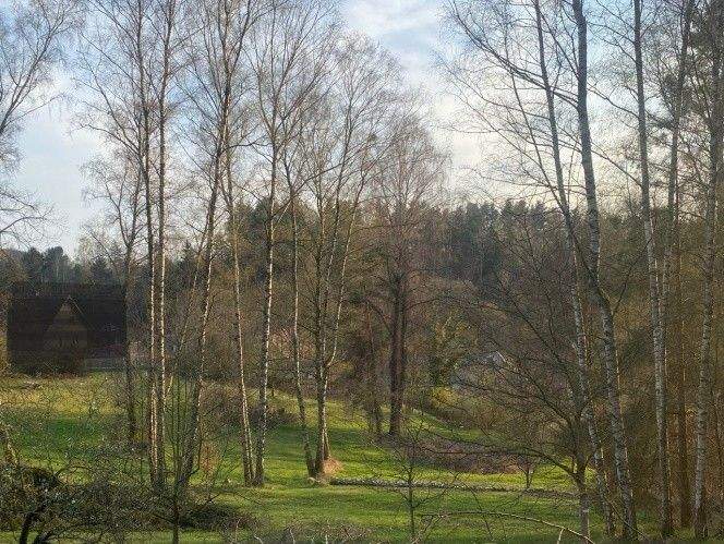 Grundstück Flossenbürg Altenhammer - 54.000&euro; | Angebot:23946482