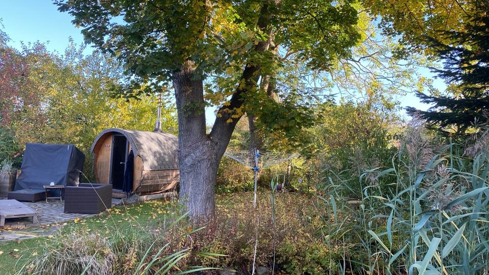 Freist. EFH bei Schwerin, Sauna, Pool, Teich - ohne Makler court. 5 zimmer