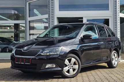 Skoda Fabia 132.800 km 8.290 € Heimbach-Weis 56566