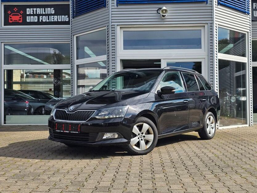 Skoda Fabia 132.800 km 9.790 € Heimbach-Weis 56566