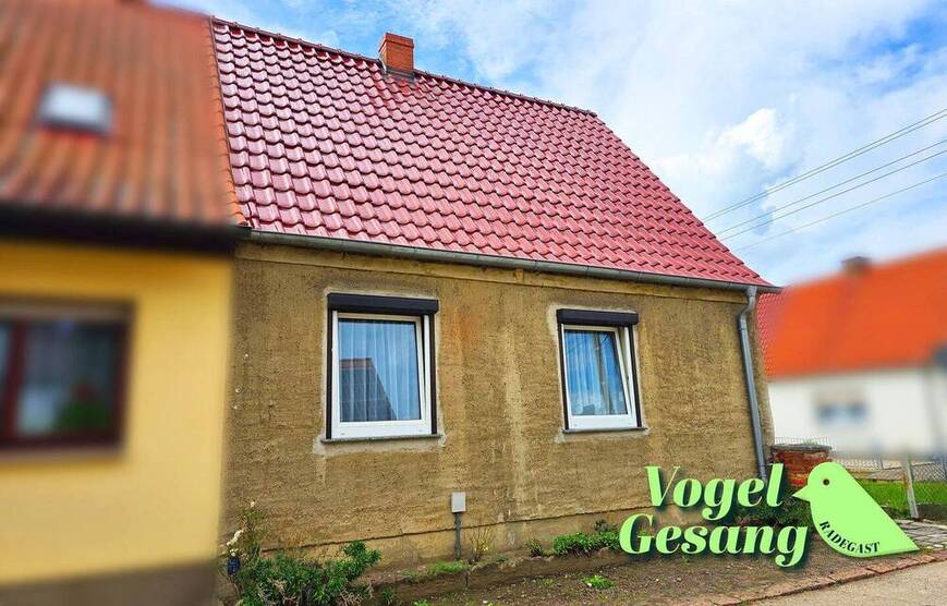 Doppelhaushälfte mit großem Grundstück und viel Potenzial -