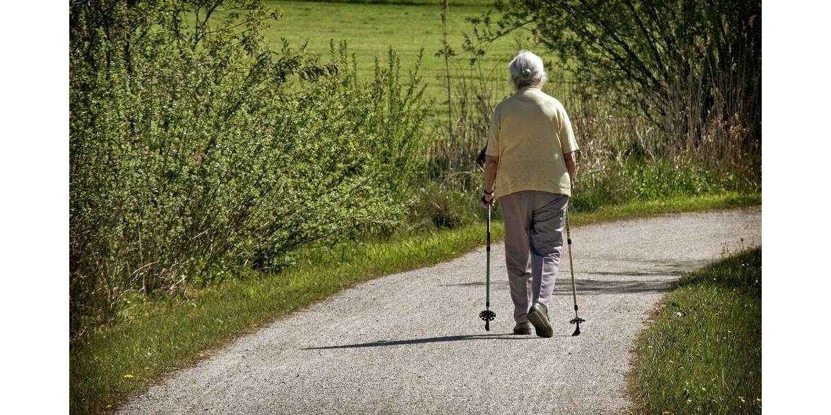 Mehrfamilienhaus, Wohnhaus Salem - Stefansfeld Salem - 1 Zimmer, 306 m&sup2;, 790.000&euro; | Angebot:26308804