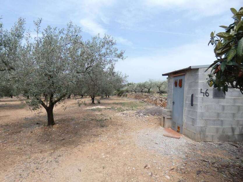 Haus zum Kaufen in Càlig 45.000 € 11700 m²